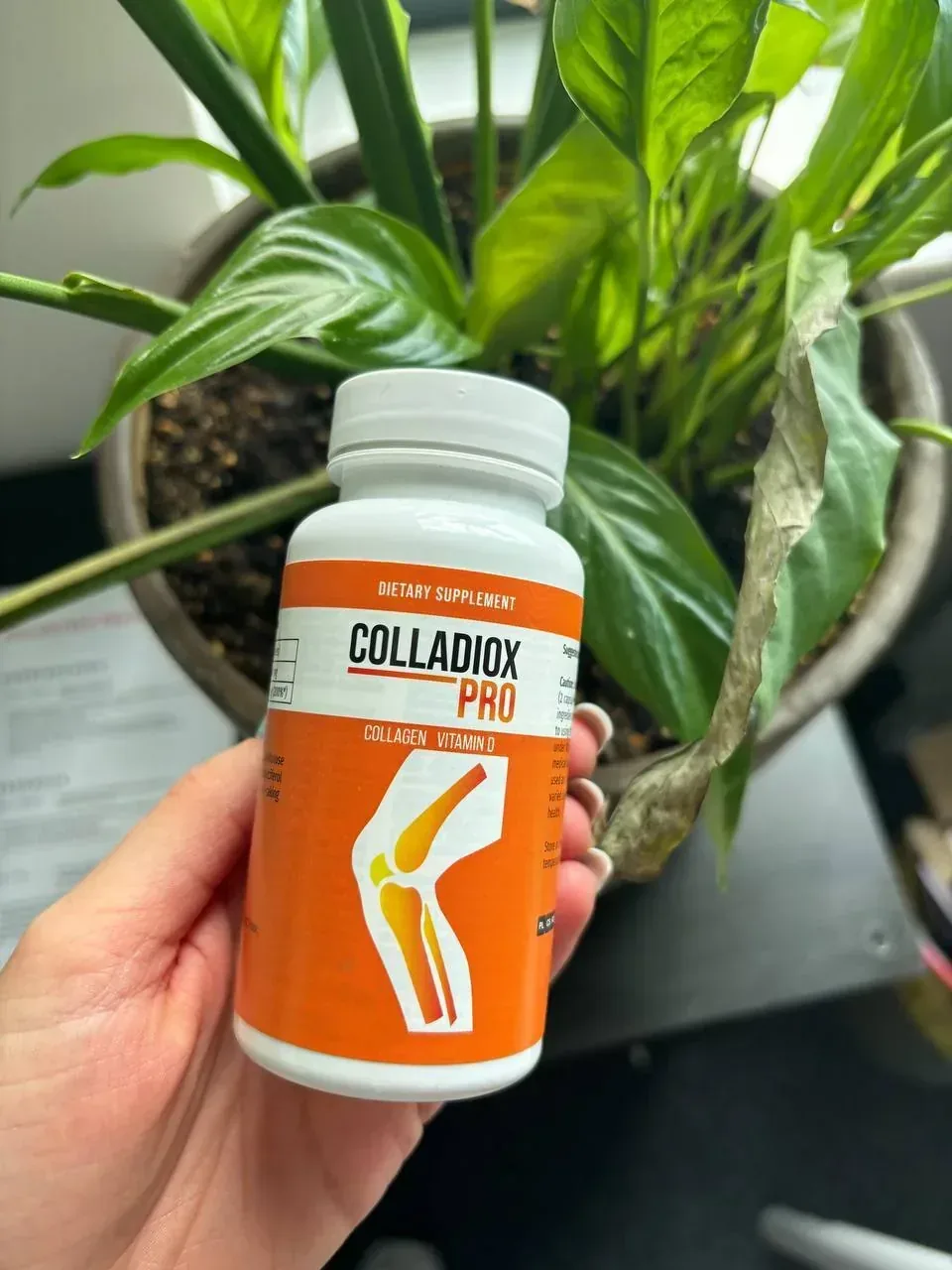 Opakowanie Colladiox Pro