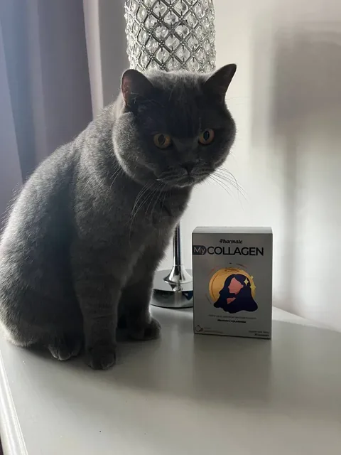 Opakowanie My Collagen — zdjęcie 1 z 5